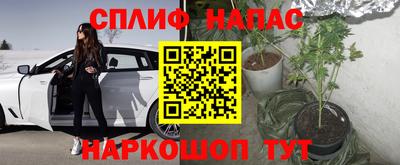 ПСИЛОЦИБИНОВЫЕ ГРИБЫ Конаково